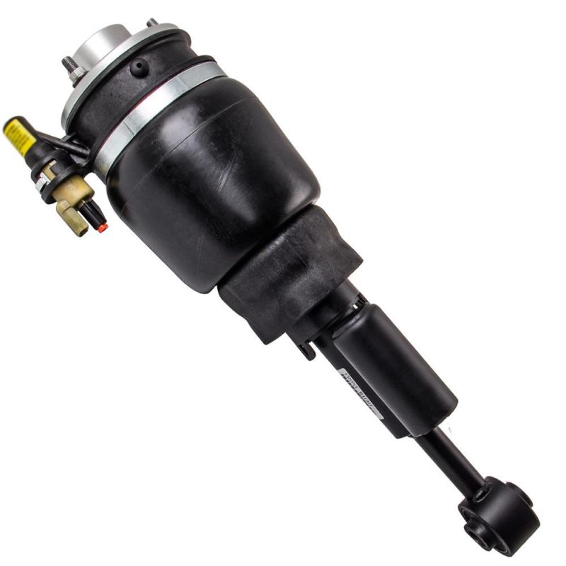 6L1z18124ad Front Right Top Sale Airmatic Shock Air Suspension with Strut 2003-06 for Ford Expedition Lincoln Navigator