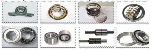 Xtsky Double Row Angular Contact Thrust Ball Bearing (234406M)