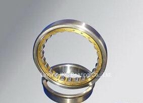 Nup306 Bearing, Cylindrical Roller Bearing N406, Nu406, Nup406, Nj406, Nu2206, Nup2206, Nu2306, Nup2306, Nj2306, Nn3006