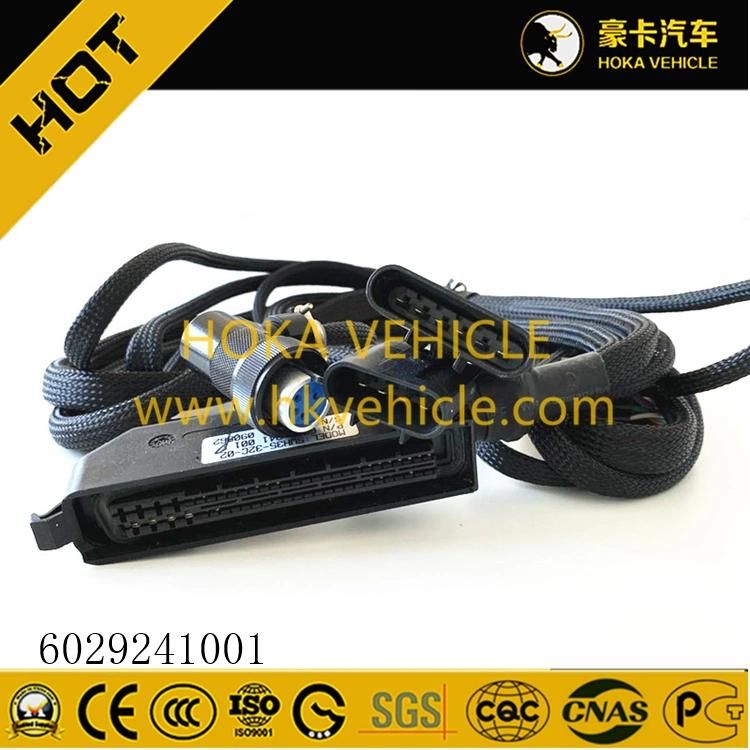 Original and Genuine Wheel Loader Spare Parts Wiring Harness 6029 241 001 for XCMG Wheel Loader