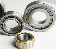 Cylindrical Roller Bearing N210, Nj210, Nu210, N310, Nj310, Nu310, Nup310nv