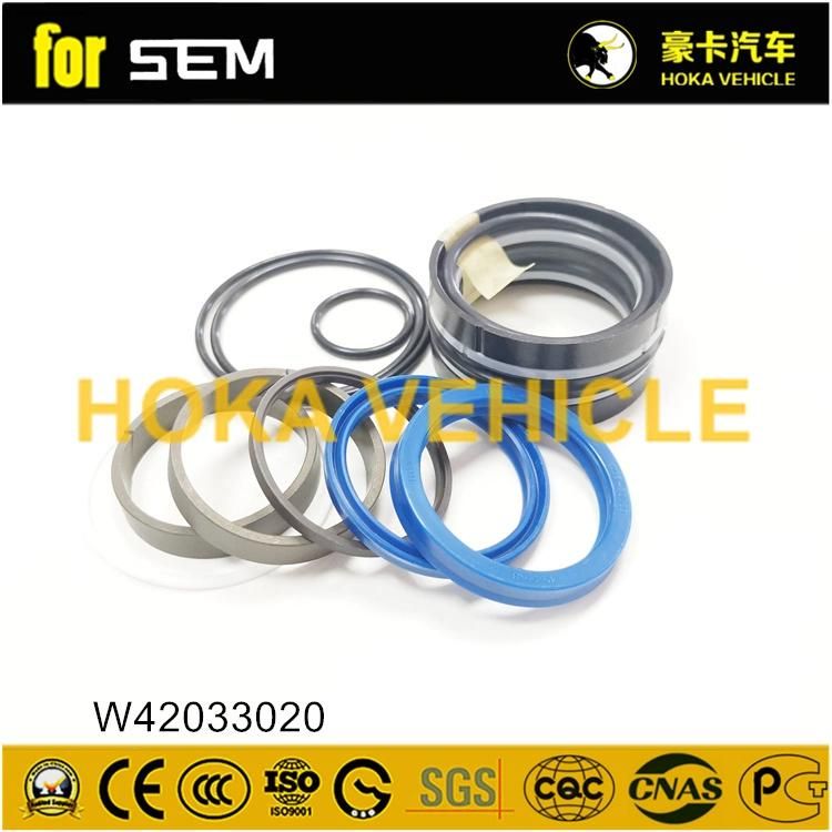 Wheel Loader Spare Parts Steering Cylinder Repair Kit W42033020 for Sem Wheel Loader