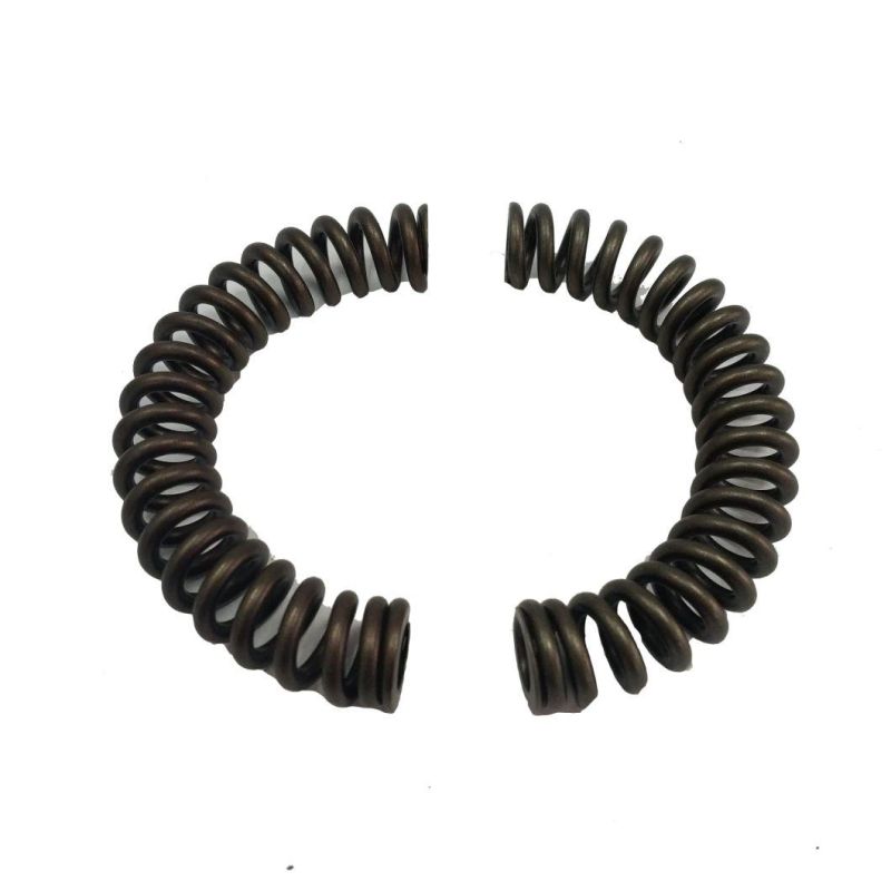 Arc Spring Double Mass Flywheel Spring