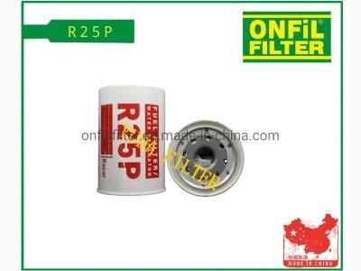 Wf10219 Bf1398o P502517 Fs19704 H7025wk30 Wk94033X Fuel Filter for Auto Parts (R25P)