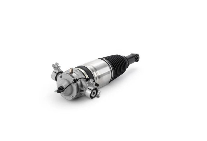 New Rear Touareg Air Suspension Shock for Volkswaegn 7p6 616 019K