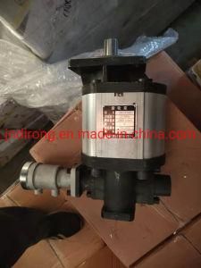 Cbd-F100 Gear Pump Assay Foton Auman Spare Parts