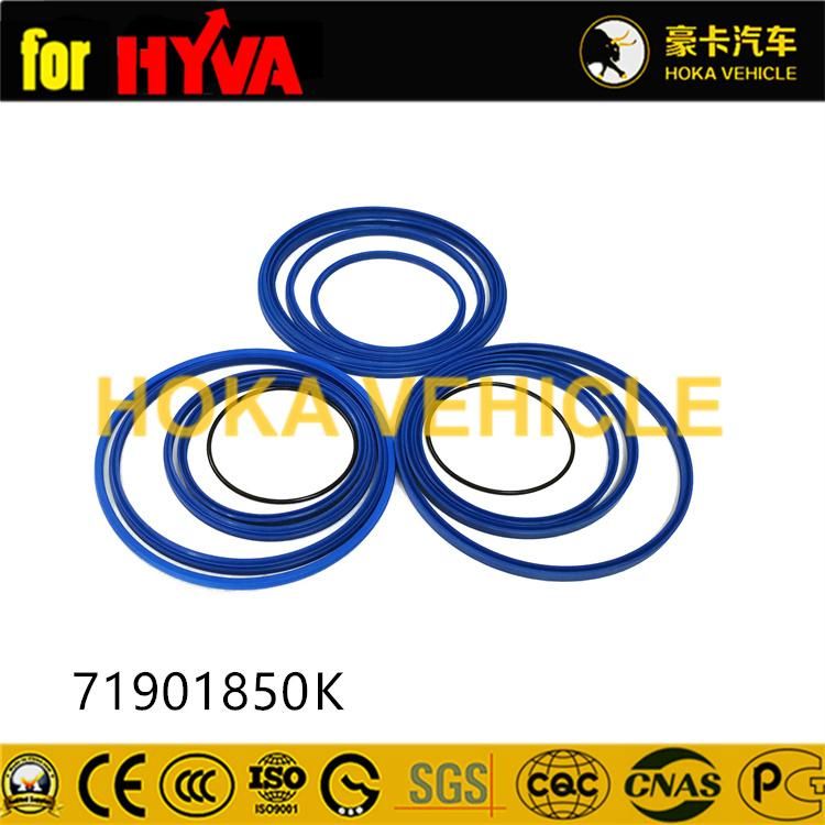 Truck Spare Parts Seal Kit 71901850K for Dump Truck Hyva Hoist System