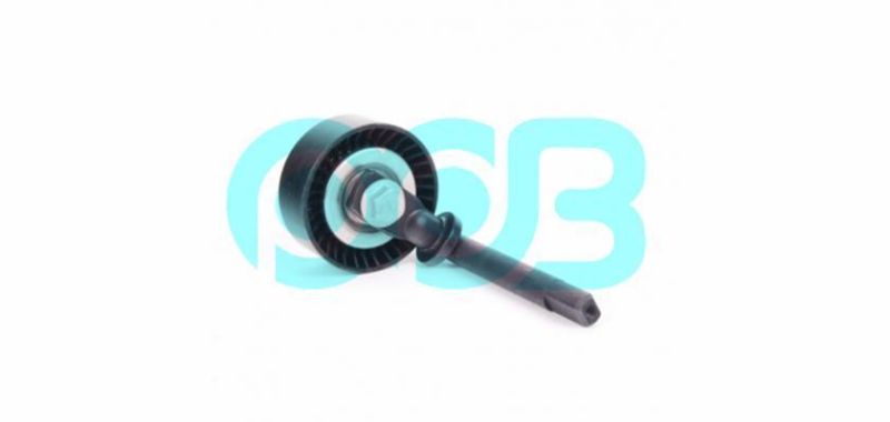 for BMW 3 BMW 5 Engine Parts Tensioner Pully 11287786881 11287807021 Apv2559 Vkm38241