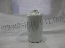 Oil Filter (4785974)