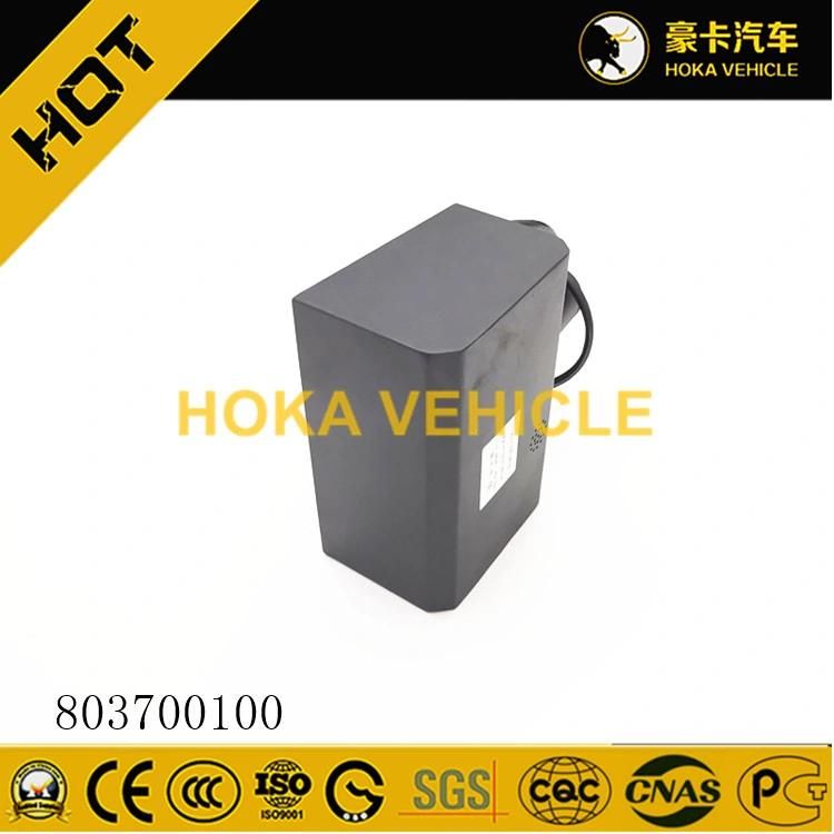 Original 25t Crane Spare Parts Switch Conbination with Panel 803700100 for Construction Machinery