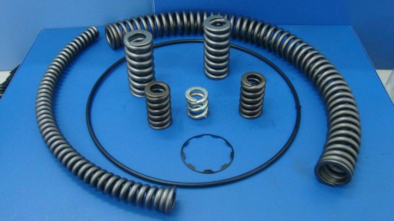 Arc Spring Double Mass Flywheel Spring