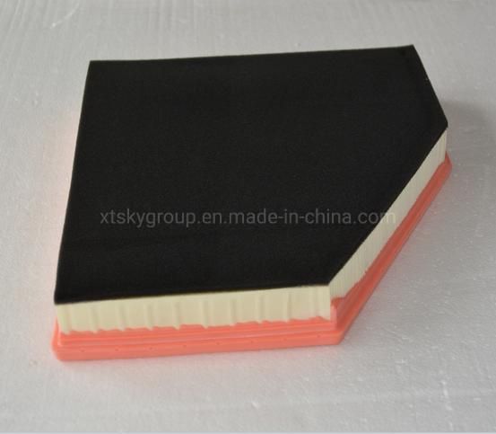 Hot Sale Auto Air Filter (C31143) for BMW