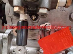 Fuel Injection Pump Vg1092080120 Sinotruk HOWO Truck Spare Parts