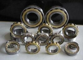 China Professional Nup310e Em M Cylindrical Roller Bearing