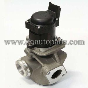 Egr Valve 1618nr for Citroen/Ford/Peugeot