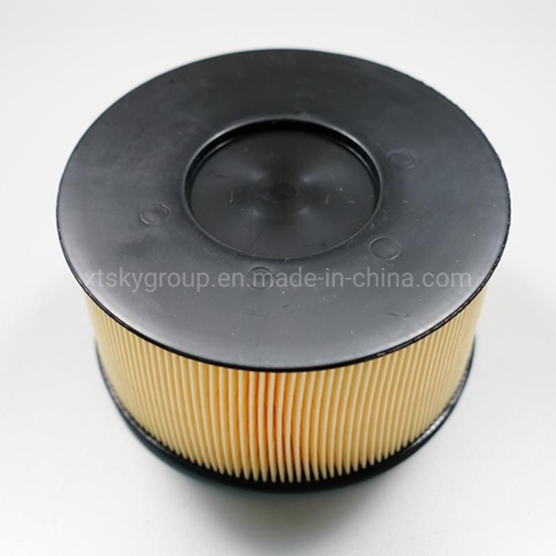 Xtsky Auto Part Manufacturer High Quality Auto Air Filter (OEM: 13717503141)