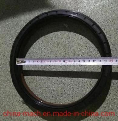 Wg9112340113 / 14 Rear Wheel Oil Seal (two in one) 190X220X30 for HOWO Axle Parts