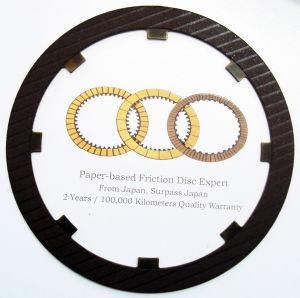 Friction Disc (304700-160)