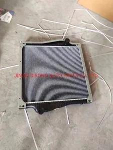 Chinese Heavy Truck Wg9125530903 Radiator Sinotruk HOWO Truck Spare Parts