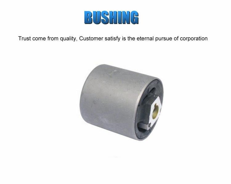 Auto Parts 31120307882 Front Rubber Trailing Arm Bushing for BMW