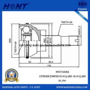 Outer CV Joint for Citroen and Jumper (NYCT-6018A)