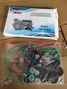 Vg1560080023 High Pressure Pump Repair Kit Sinotruk HOWO Truck Spare Parts