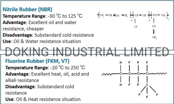 Tc Oil Seal NBR FKM Material 75*10*10 for Car