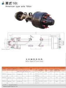 American Type Axle 16t (RNM1622I, RNM1620I, RNM1618I) Axle