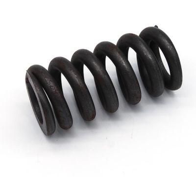 Compression Spring, Small Precise Coil Steel Double Torsion Spring