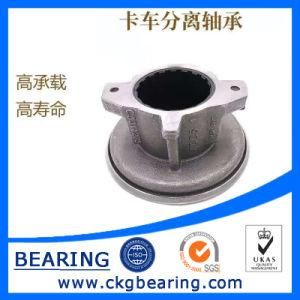 Custom Truck Separation Bearings