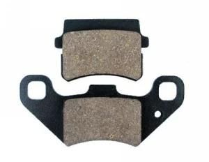 Motorcycle Brake Pad (YL-F021A)