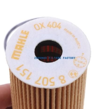 11428507683, Hu6004X, CH11217 Biaowang Filter for BMW X3, for BMW 5