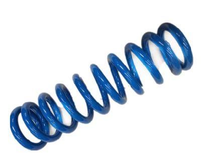 Coil Spring Supplier Supply Retractable Springs for Volkswage Passat 333511105A.