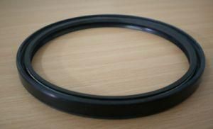 Oil Seal