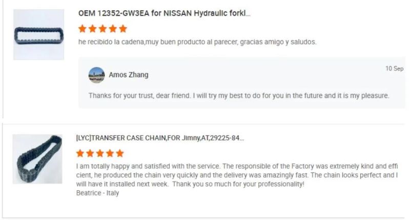 Factory Sell 24321-2b200 for Hyundai KIA Elantra Accent Soul Car Engine Timing Chain