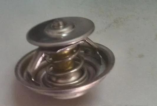 Man Engine Parts Thermostat Element 082V06402-0115