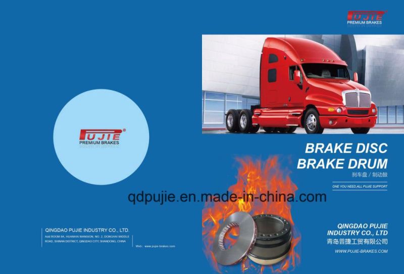 Brake Disc Rotor 4079000500 4079000501 4079000700 for Saf