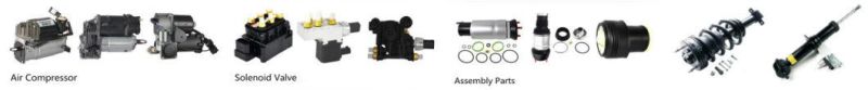 Car Parts Air Spring Suspension Accessories for FIAT Scudo/Citroen Jumpy/Peugeot Expert