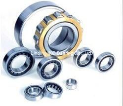 Cylindrical Roller Bearing N224, Nu224, Nj224, N324, Nu324, Nj324, Nu2224, Nj2224, Nu2324, Nj2324, Nn3024