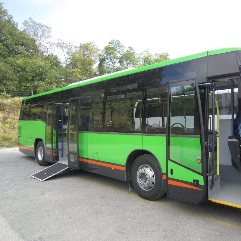 China Special Electric Wheelchair Loading Ramp for Bus with Ce and Emark Certificate