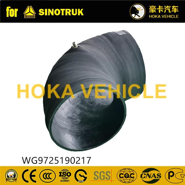 Original Sinotruk HOWO Truck Spare Parts Intake Pipe for Air Filter Assy Wg9725190217