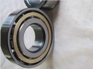 Single Row Angular Contact Ball Bearing 7309