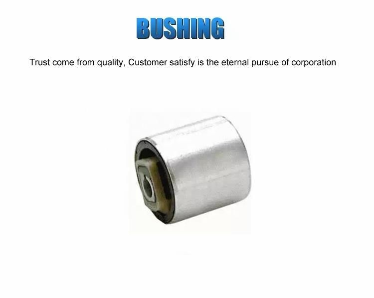 31129069829 Trailing Arm Bushing for BMW 5