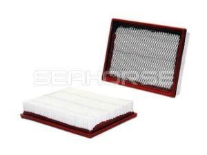 25099149 Auto Accessories Air Filter for Buick Car