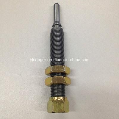 Carbon Steel Bolts with Nut for Truck